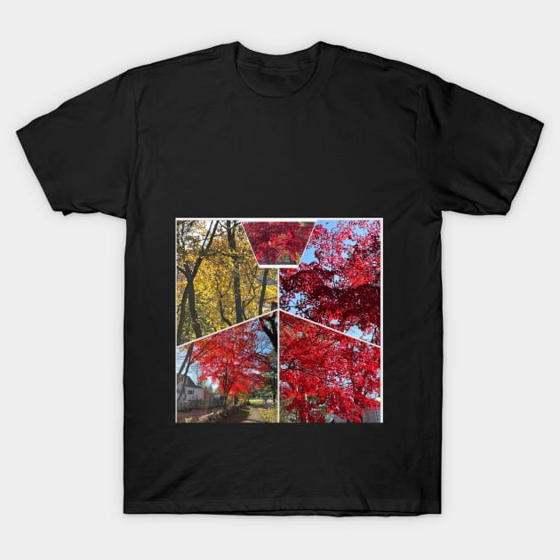 Foliage Collage T-Shirt by Barschall